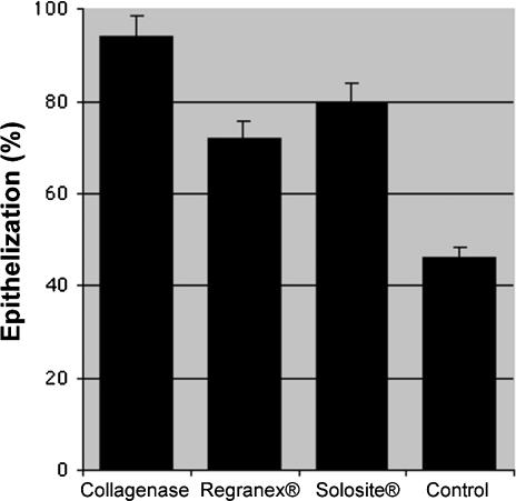 Collagenase promotes the cellular responses to injury and wound healing in vivo.