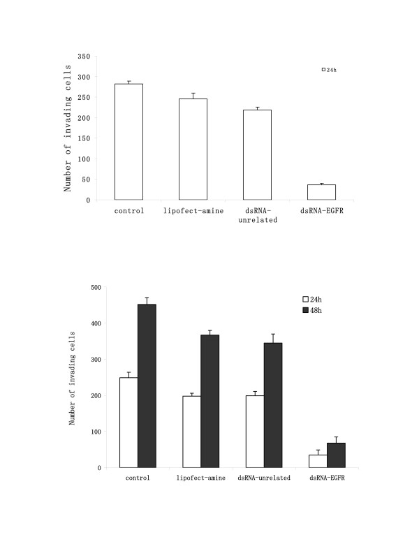 Silencing the epidermal growth factor receptor gene with RNAi may be developed as a potential therapy for non small cell lung cancer.