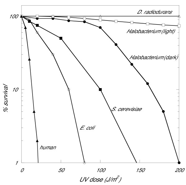 UV irradiation induces homologous recombination genes in the model archaeon, Halobacterium sp. NRC-1.