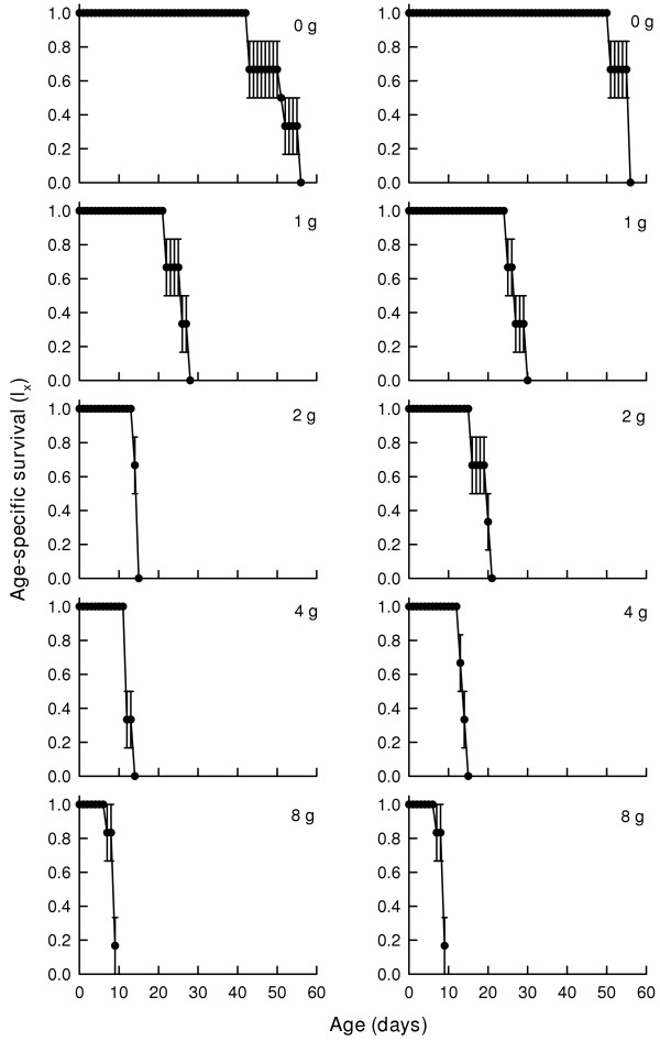 Effect of salinity stress on the life history variables of Branchipus schaefferi Fisher, 1834 (Crustacea: Anostraca).