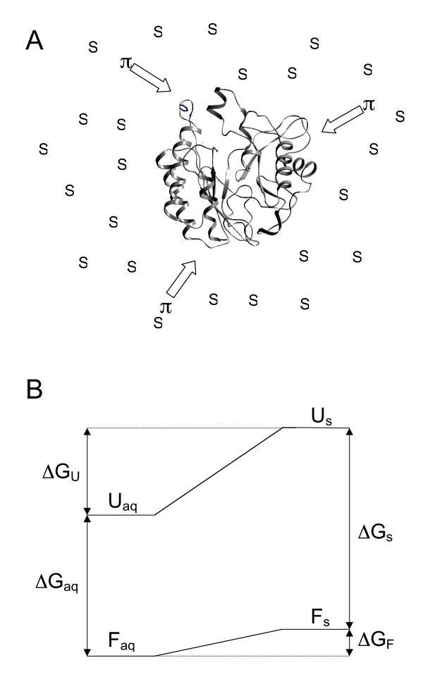 Organic compatible solutes of halotolerant and halophilic microorganisms.