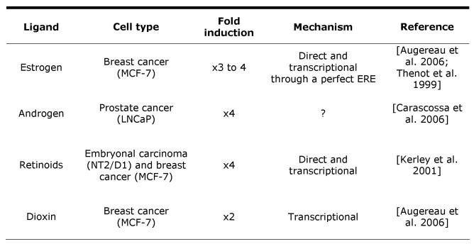 The nuclear receptor transcriptional coregulator RIP140.