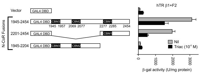 Corepressor/coactivator paradox: potential constitutive coactivation by corepressor splice variants.