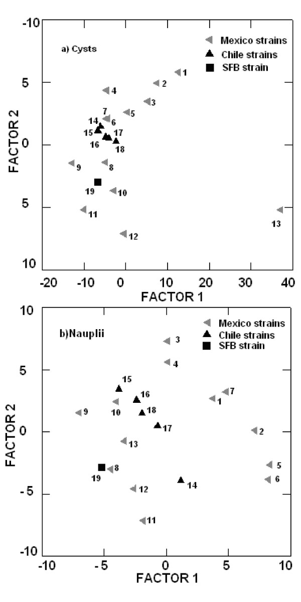 A biometric and ecologic comparison between Artemia from Mexico and Chile.