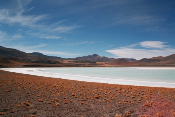 Inland hypersaline lakes and the brine shrimp Artemia as simple models for biodiversity analysis at the population level.