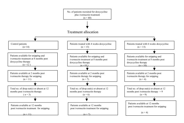 Assessment of microfilarial loads in the skin of onchocerciasis patients after treatment with different regimens of doxycycline plus ivermectin.