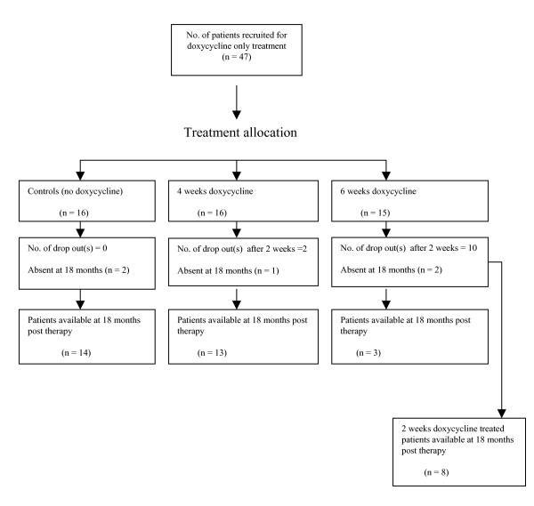 Assessment of microfilarial loads in the skin of onchocerciasis patients after treatment with different regimens of doxycycline plus ivermectin.