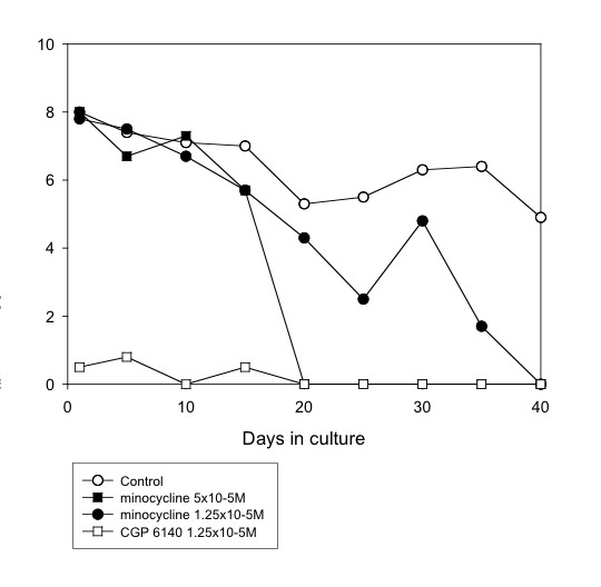 Onchocerca parasites and Wolbachia endosymbionts: evaluation of a spectrum of antibiotic types for activity against Onchocerca gutturosa in vitro.