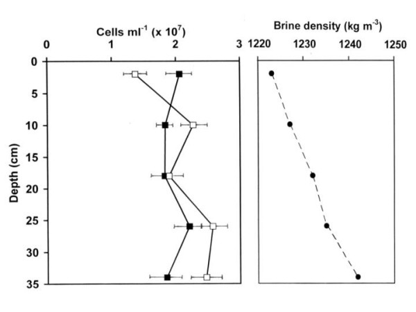 Buoyancy studies in natural communities of square gas-vacuolate archaea in saltern crystallizer ponds.