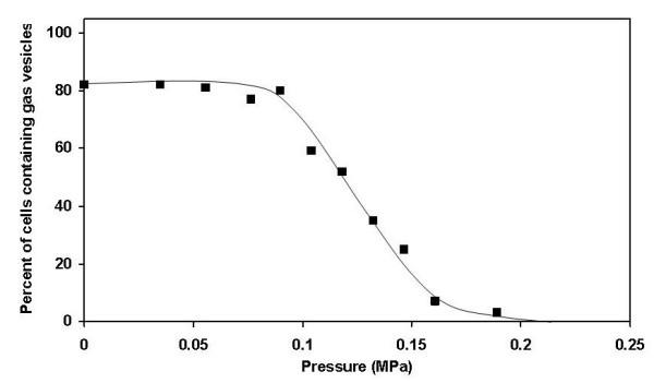 Buoyancy studies in natural communities of square gas-vacuolate archaea in saltern crystallizer ponds.