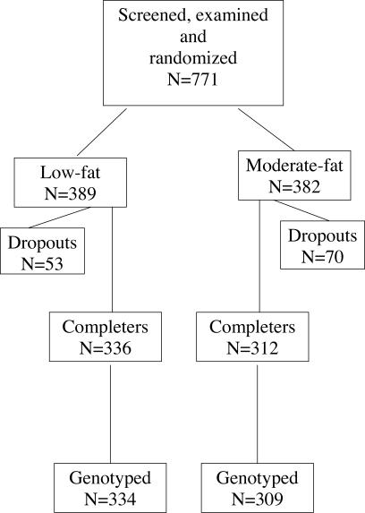 Genetic polymorphisms and weight loss in obesity: a randomised trial of hypo-energetic high- versus low-fat diets.