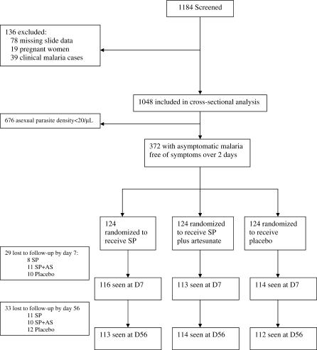 Gametocytaemia after drug treatment of asymptomatic Plasmodium falciparum.