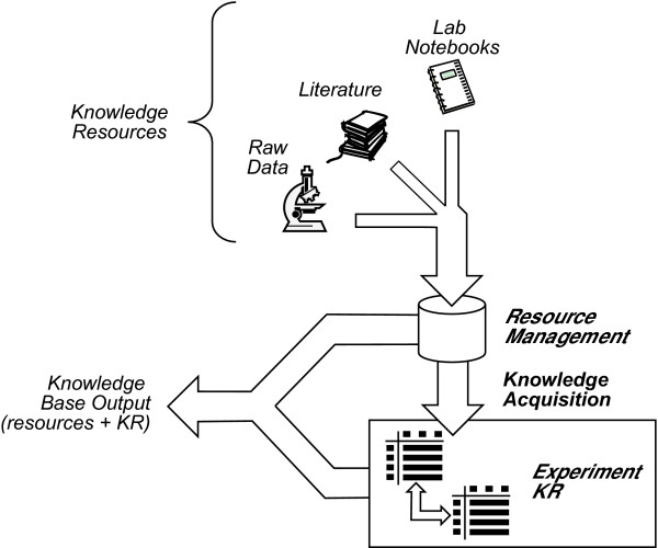 Tools for knowledge acquisition within the NeuroScholar system and their application to anatomical tract-tracing data.