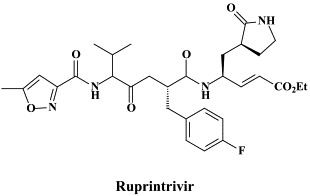 Status presens of antiviral drugs and strategies: Part II: RNA VIRUSES (EXCEPT RETROVIRUSES).