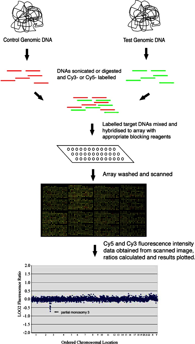 Diagnosing idiopathic learning disability: a cost-effectiveness analysis of microarray technology in the National Health Service of the United Kingdom.