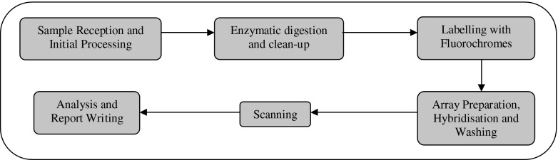 Diagnosing idiopathic learning disability: a cost-effectiveness analysis of microarray technology in the National Health Service of the United Kingdom.