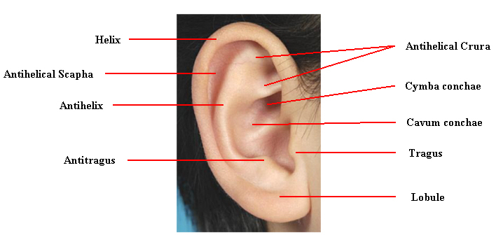 Otoplasty - techniques, characteristics and risks.