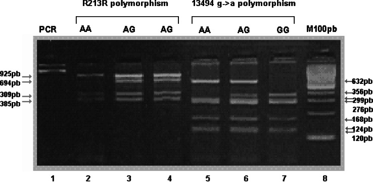 Analysis of R213R and 13494 g-->a polymorphisms of the p53 gene in individuals with esophagitis, intestinal metaplasia of the cardia and Barrett's Esophagus compared with a control group.