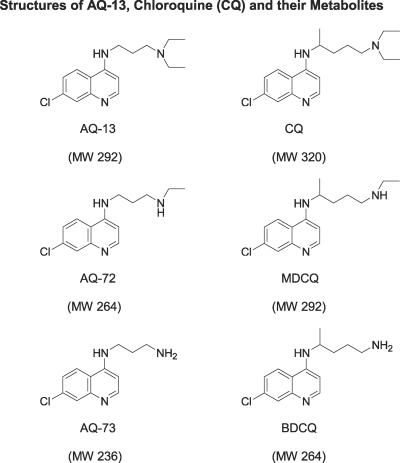 Randomized dose-ranging controlled trial of AQ-13, a candidate antimalarial, and chloroquine in healthy volunteers.