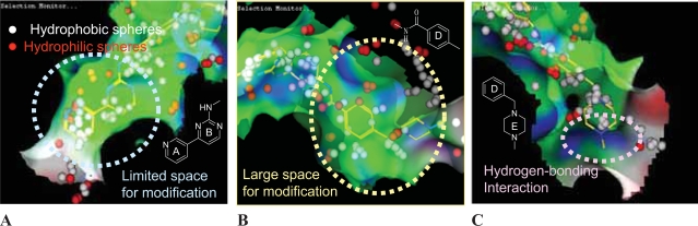 NS-187 (INNO-406), a Bcr-Abl/Lyn dual tyrosine kinase inhibitor.