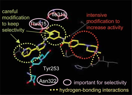 NS-187 (INNO-406), a Bcr-Abl/Lyn dual tyrosine kinase inhibitor.