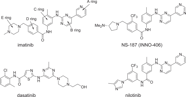 NS-187 (INNO-406), a Bcr-Abl/Lyn dual tyrosine kinase inhibitor.