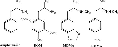 TDIQ (5,6,7,8–tetrahydro-1,3-dioxolo [4,5-g]isoquinoline): Discovery, Pharmacological Effects, and Therapeutic Potential