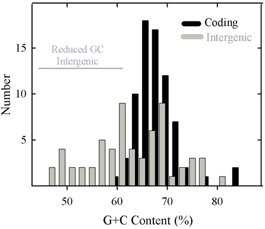 High G+C Content of Herpes Simplex Virus DNA: Proposed Role in Protection Against Retrotransposon Insertion.