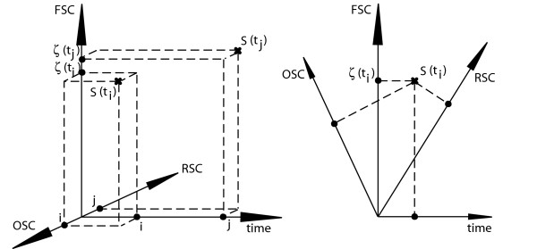 Measuring the functional sequence complexity of proteins.