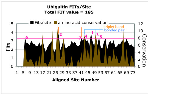 Measuring the functional sequence complexity of proteins.