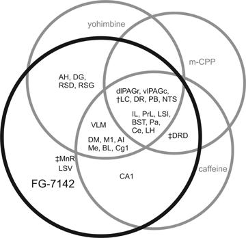 Pharmacology of the β-Carboline FG-7142, a Partial Inverse Agonist at the Benzodiazepine Allosteric Site of the GABAA Receptor: Neurochemical, Neurophysiological, and Behavioral Effects