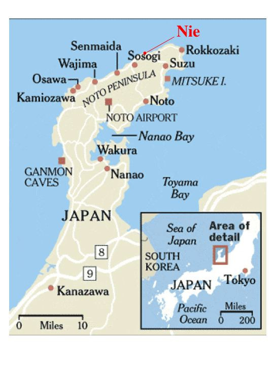 A traditional Japanese-style salt field is a niche for haloarchaeal strains that can survive in 0.5% salt solution.