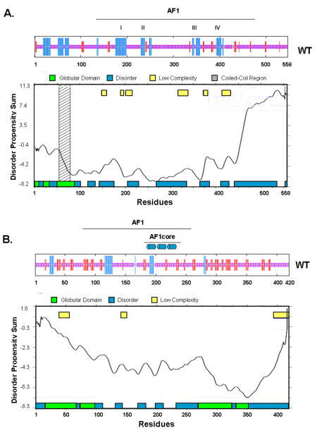 Natural disordered sequences in the amino terminal domain of nuclear receptors: lessons from the androgen and glucocorticoid receptors.