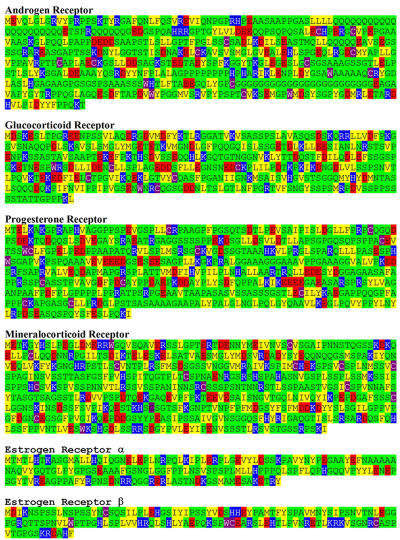 Natural disordered sequences in the amino terminal domain of nuclear receptors: lessons from the androgen and glucocorticoid receptors.