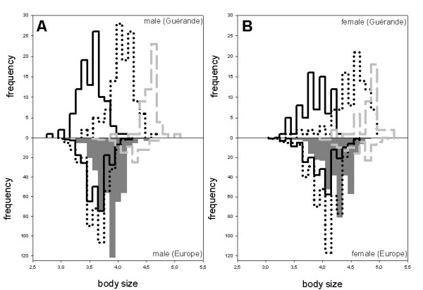 Inter- and intraspecific genetic and morphological variation in a sibling pair of carabid species.