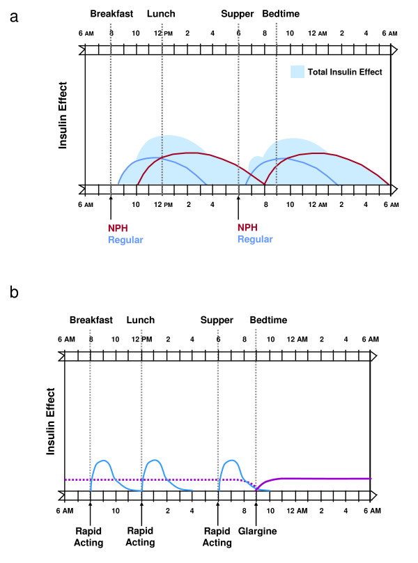 A practical approach for implementation of a basal-prandial insulin therapy regimen in patients with type 2 diabetes.