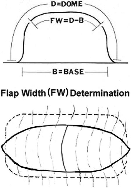 Expanded transposition flap technique for total and subtotal resurfacing of the face and neck.