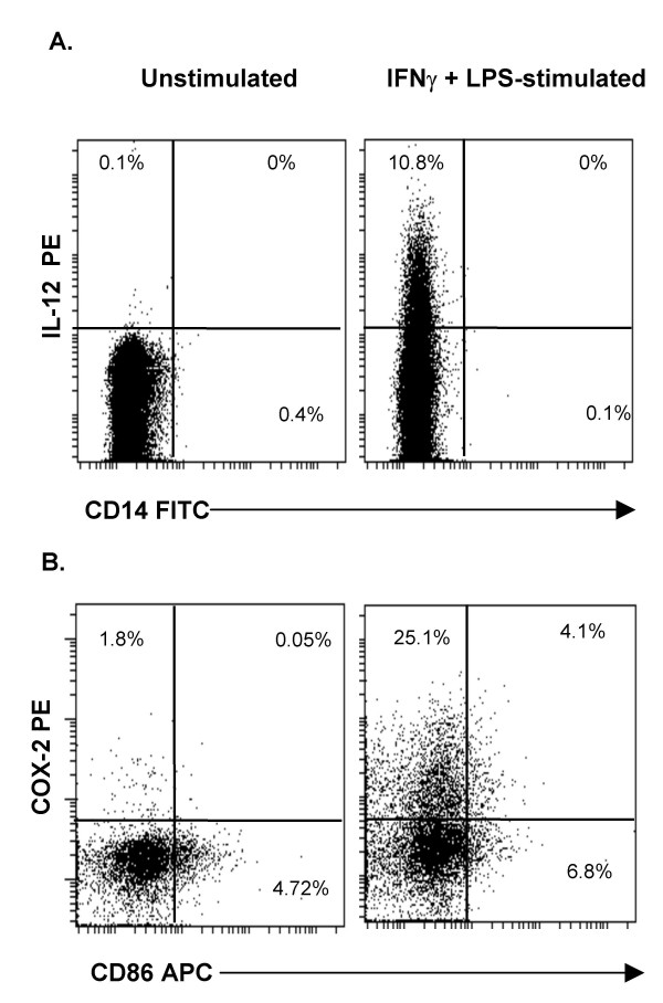 Phenotype and in vitro function of mature MDDC generated from cryopreserved PBMC of cancer patients are equivalent to those from healthy donors.