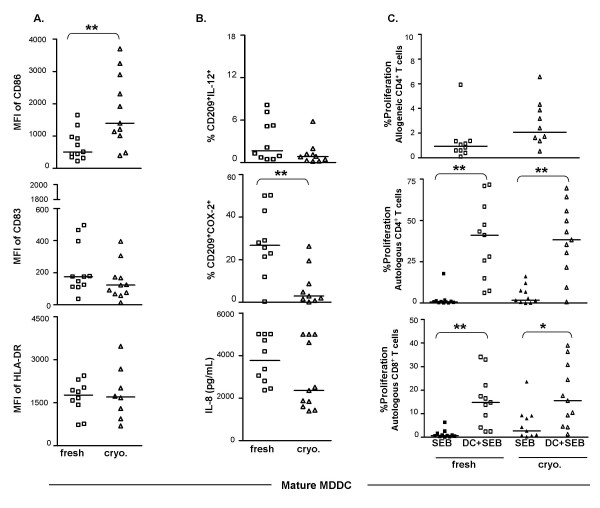Phenotype and in vitro function of mature MDDC generated from cryopreserved PBMC of cancer patients are equivalent to those from healthy donors.