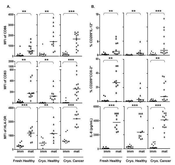 Phenotype and in vitro function of mature MDDC generated from cryopreserved PBMC of cancer patients are equivalent to those from healthy donors.