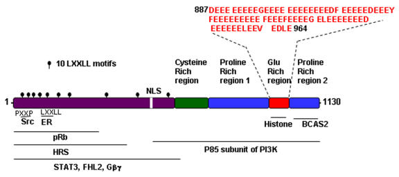 Functional and biological properties of the nuclear receptor coregulator PELP1/MNAR.