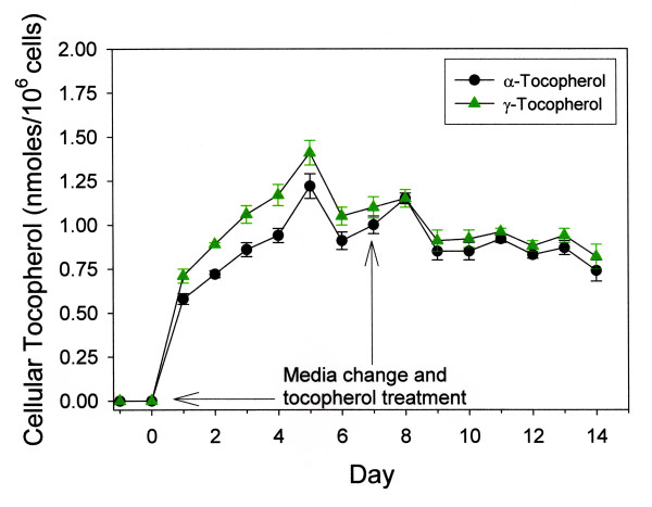 Enhancement of intracellular gamma-tocopherol levels in cytokine-stimulated C3H 10T1/2 fibroblasts: relation to NO synthesis, isoprostane formation, and tocopherol oxidation.