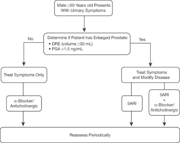 Identification of the patient with enlarged prostate: diagnosis and guidelines for management.