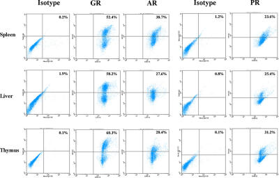 Evaluation of steroid hormone receptor protein expression in intact cells using flow cytometry.