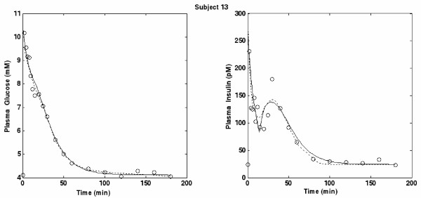 A discrete Single Delay Model for the Intra-Venous Glucose Tolerance Test.