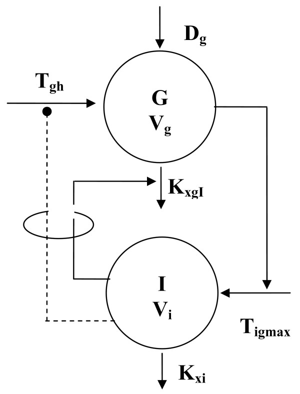 A discrete Single Delay Model for the Intra-Venous Glucose Tolerance Test.