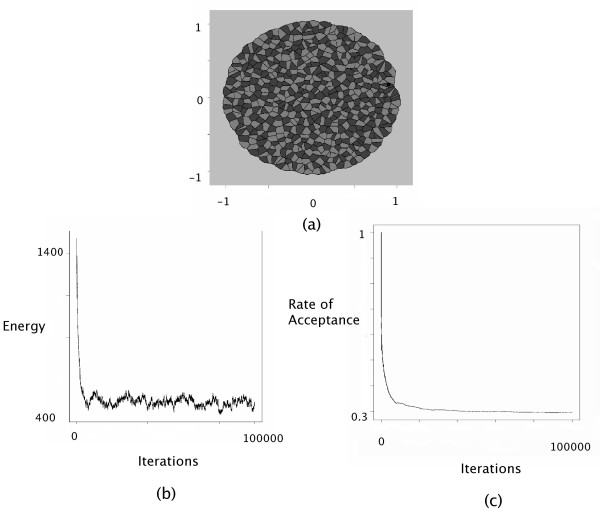 A statistical approach to estimating the strength of cell-cell interactions under the differential adhesion hypothesis.