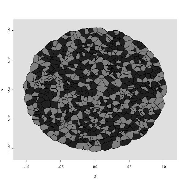 A statistical approach to estimating the strength of cell-cell interactions under the differential adhesion hypothesis.