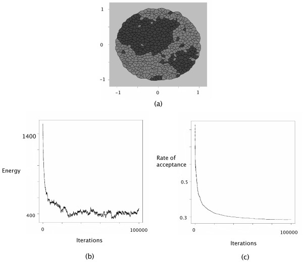 A statistical approach to estimating the strength of cell-cell interactions under the differential adhesion hypothesis.