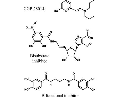 Catechol-O-methyltransferase and Its Inhibitors in Parkinson's Disease